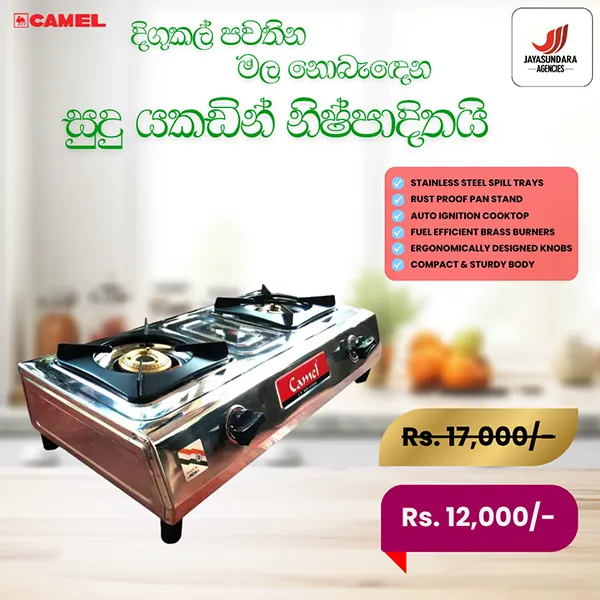 Camel Stainless Steel Gas Cooker